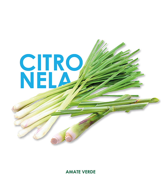 citronela