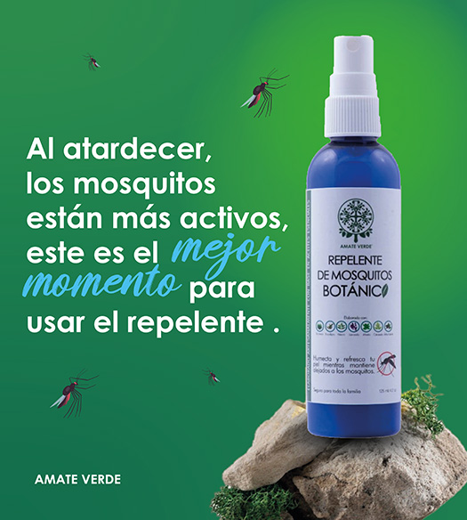 mosquitos
